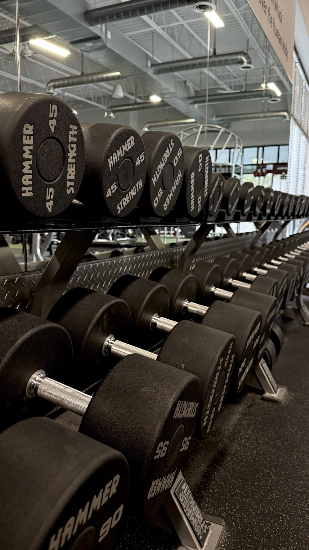 Hammer Strength dumbbell rack